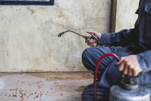 Wasp Removal Services in Lake Of The Woods, VA