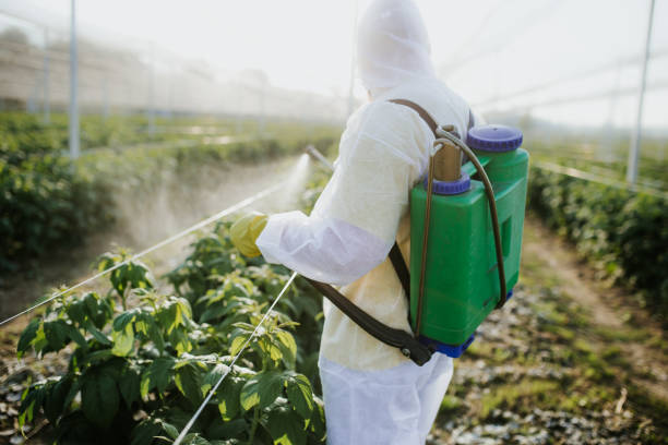Professional Pest Control in Lake Of The Woods, VA